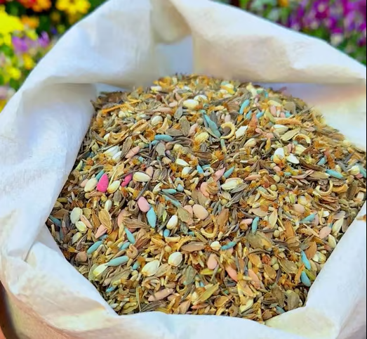 🔥Last day clearance💝Premium Cold-Hardy Mixed Perennial Seeds - Selected 40+ Fall Planting Mix