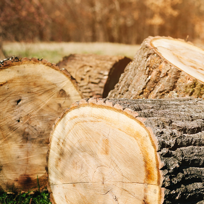 NESLEMY™Coconut Whitening Strips 32 NESLEMY™Coconut Whitening Strips